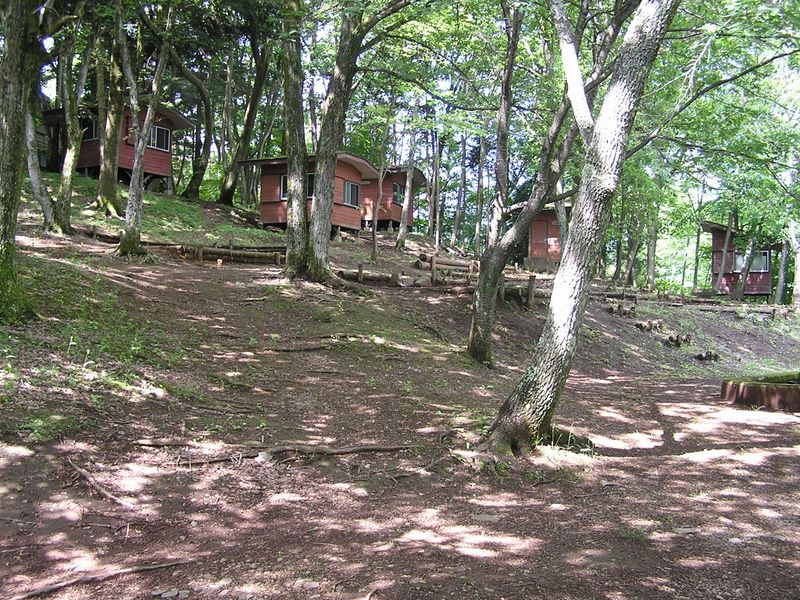 アオゲラの森キャンプ場のバンガロー