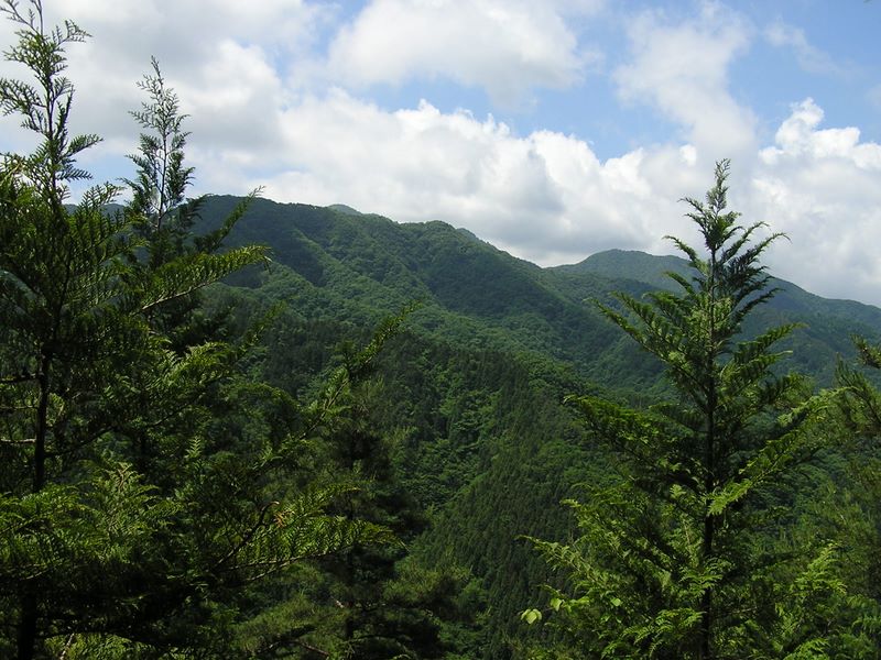 道志方面を望む