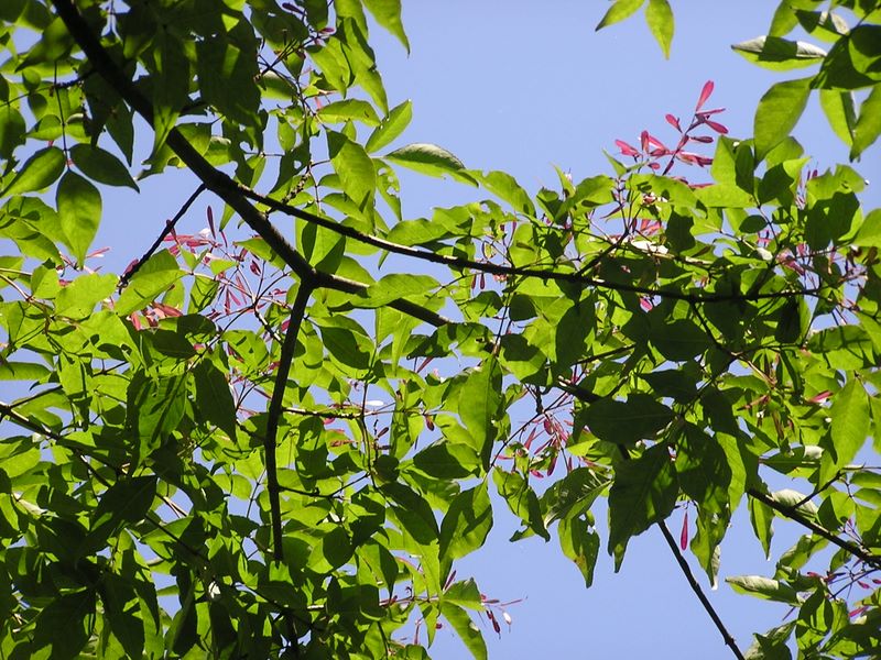 名前を調べています