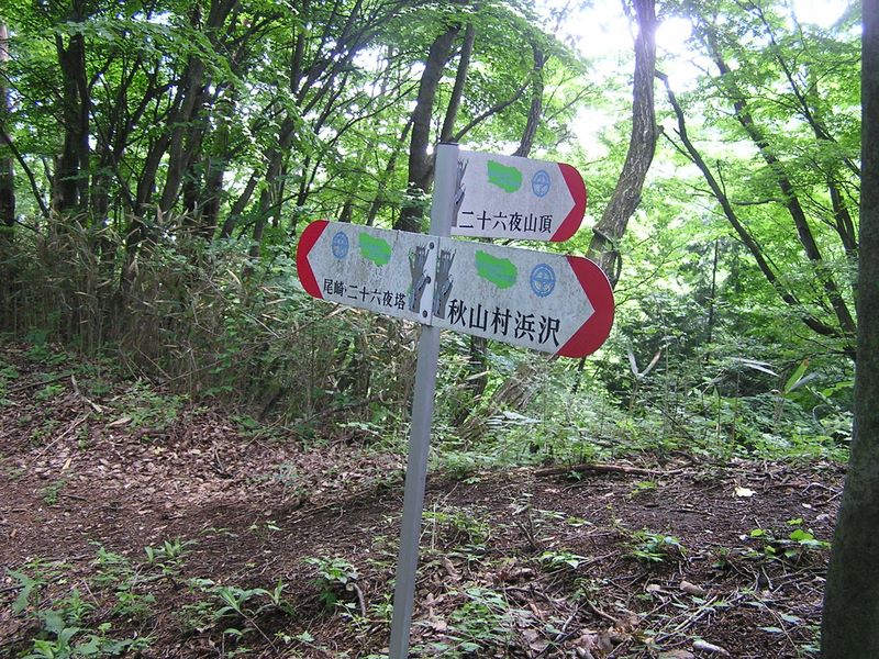 ここから山頂まで往復する