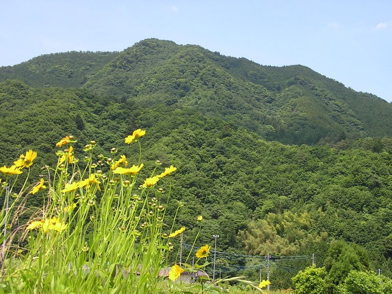 尾崎より、舟山を望む