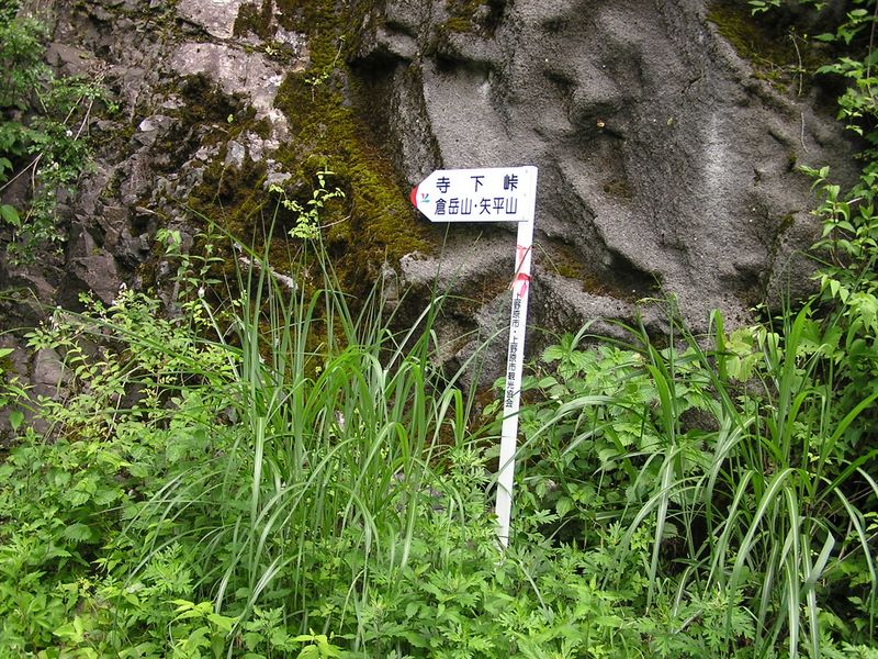 大曲橋を渡ったところで林道と別れる