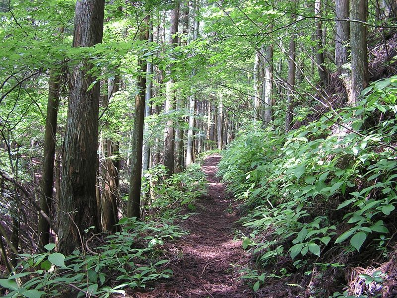 寺下峠への登り道