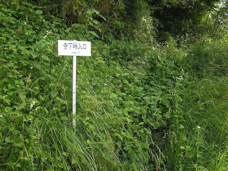 塩瀬集落に到着