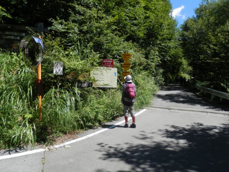  三つ峠登山口からしばらく沢沿いの涼しい道を登る