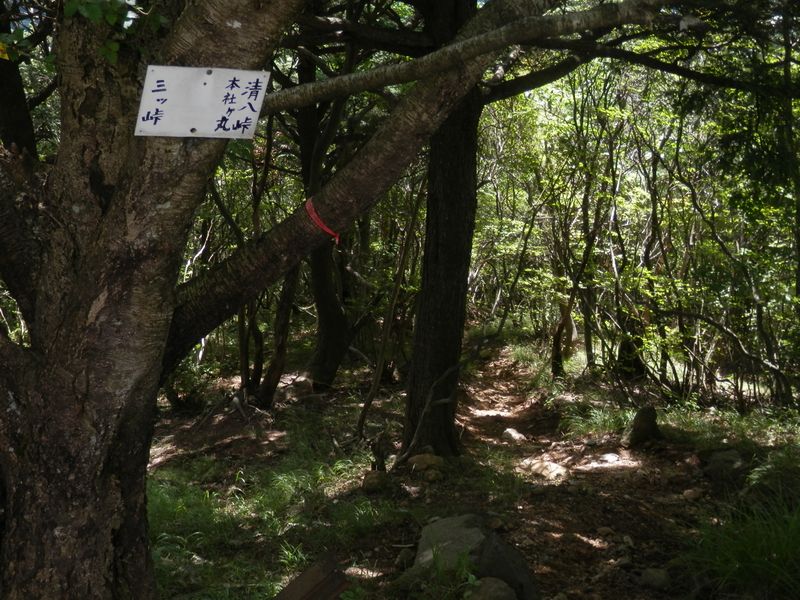 御巣鷹山より、清八峠に向かう