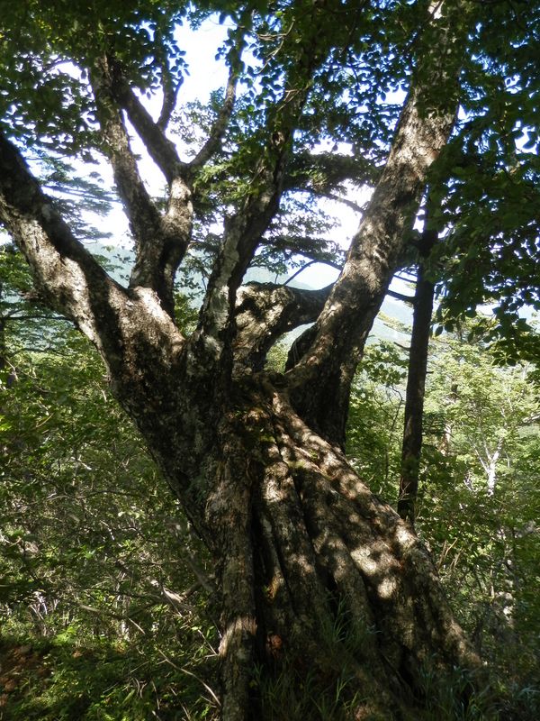 ここで休憩はいかが？