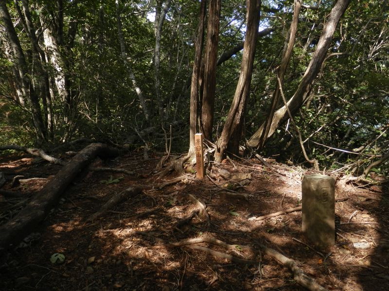 茶臼山（１５１３ｍ）