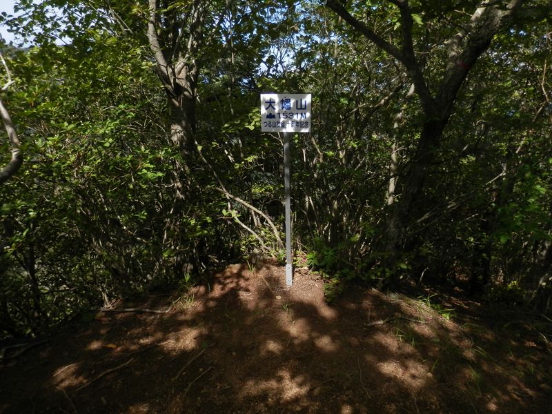 大幡山（１５３１ｍ）に到着