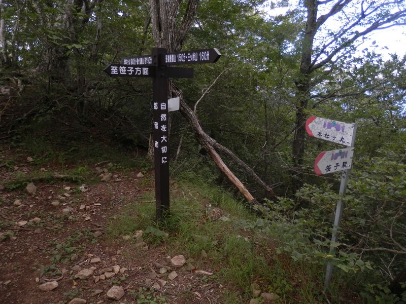 清八峠からはひたすら下るのみ