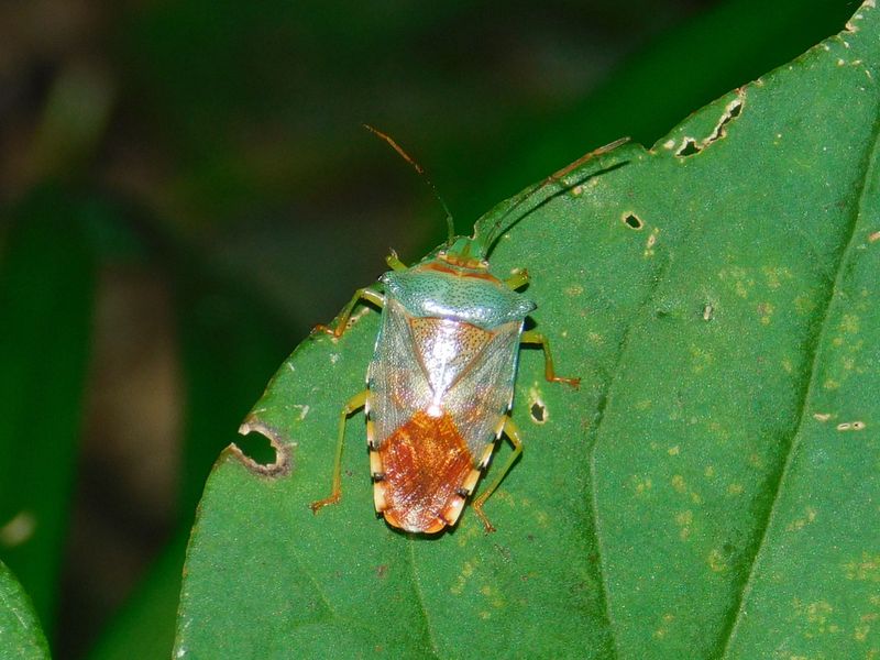 dscn1827.jpg (large)