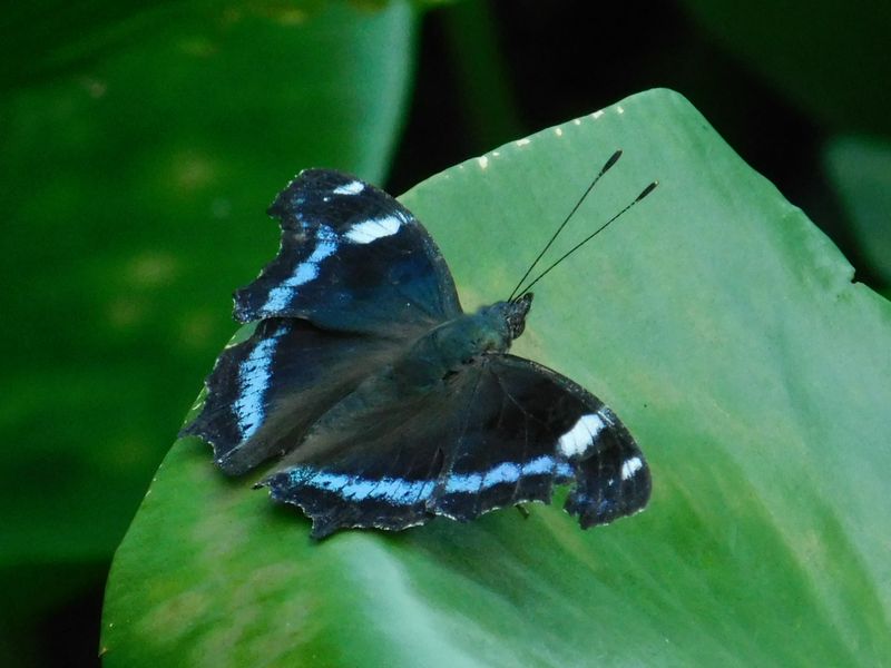 dscn1828.jpg (large)