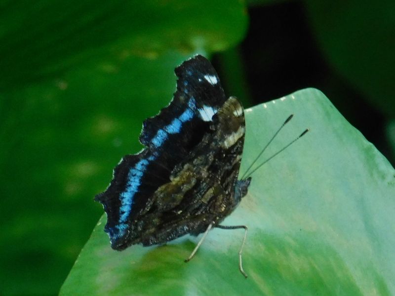 dscn1830.jpg (large)