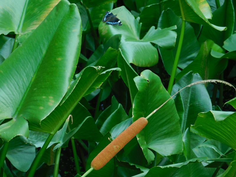 dscn1832.jpg (large)