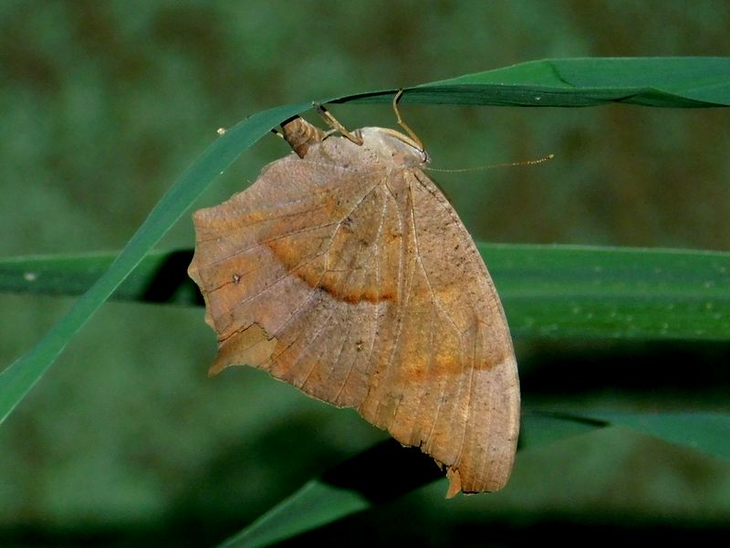 dscn1837.jpg (large)