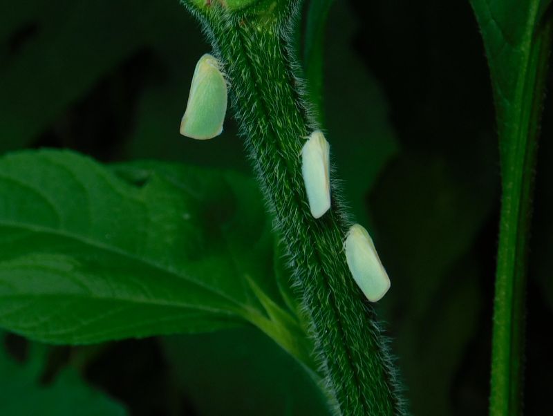 dscn1843.jpg (large)