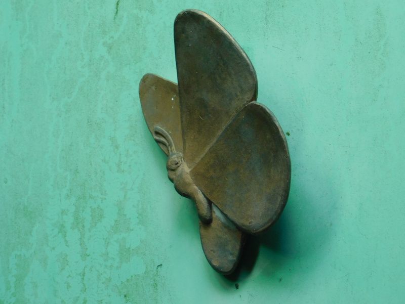 dscn1845.jpg (large)