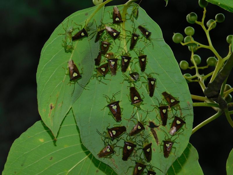 dscn1865.jpg (large)