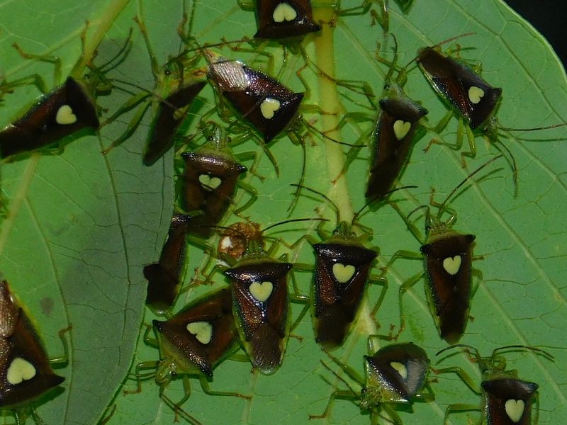 dscn1866.jpg (large)