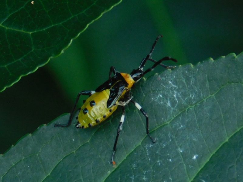 dscn1875.jpg (large)