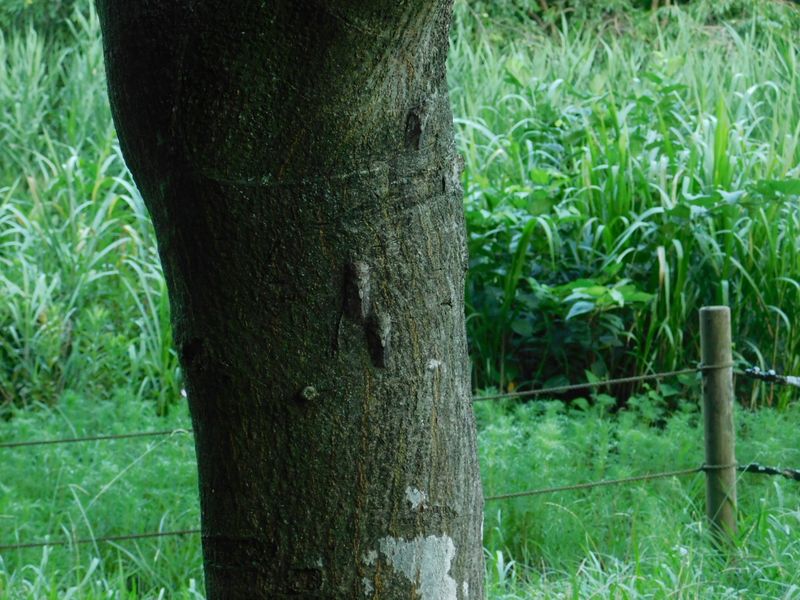 dscn1890.jpg (large)