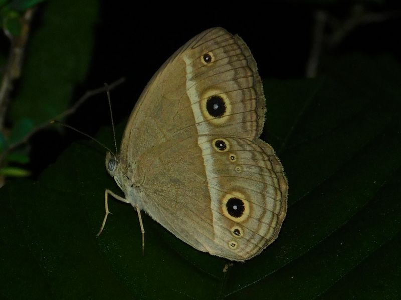 dscn1904.jpg (large)