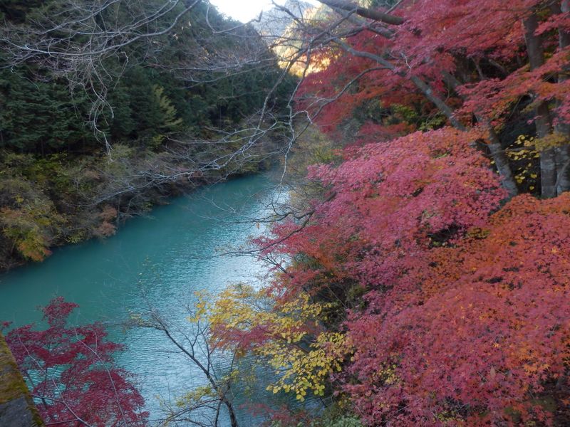紅葉の汁垂沢を望む