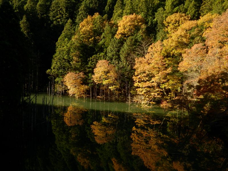 紅葉の金沢を望む (1)