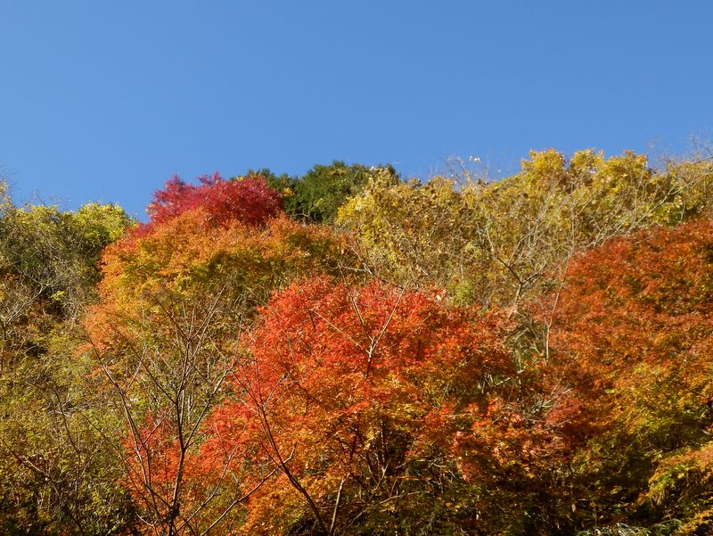 栂立尾根の突端辺り