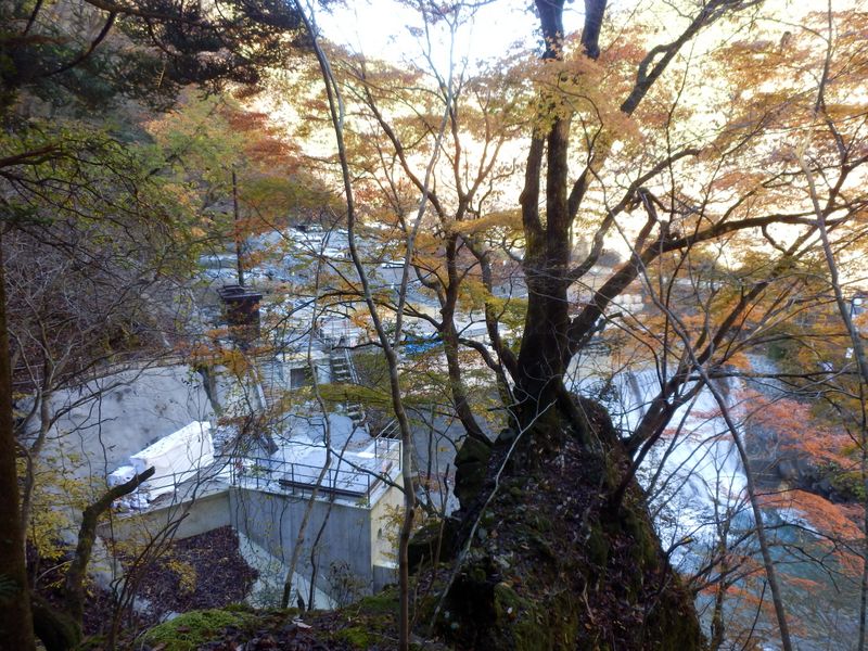 六百沢左岸尾根に取り付く