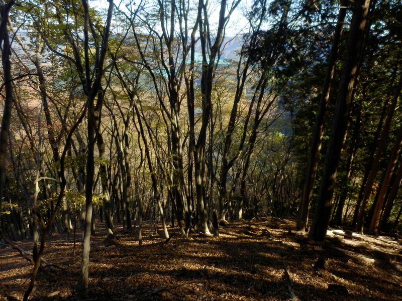 でもてきな尾根