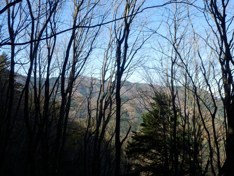 焼山（右）や黍殻山を望む