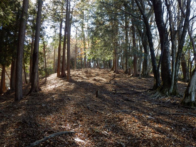 「〇〇平」とでも名付けたい