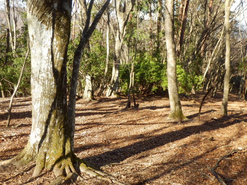 標高940m地点で昼食