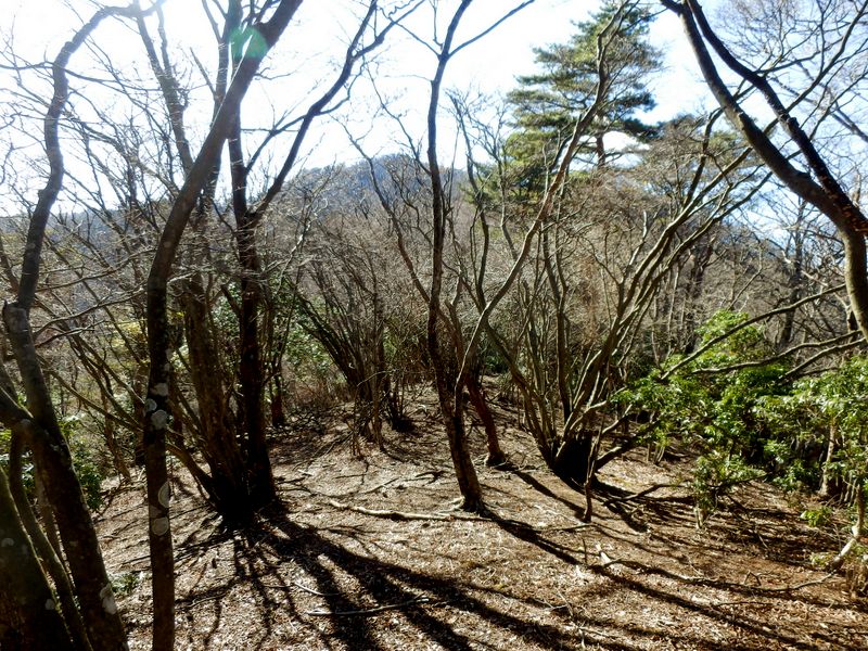 1043mで見えた本間ノ頭