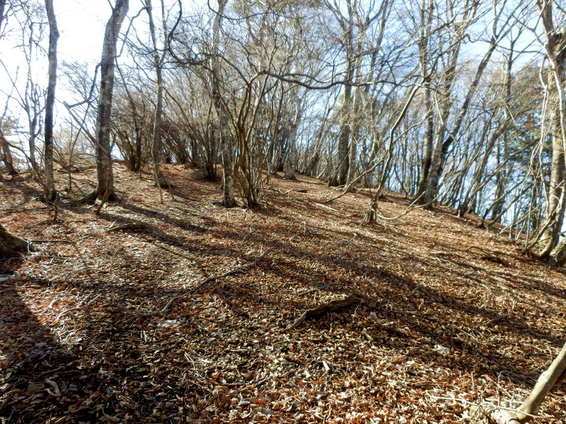 栂立尾根を登る