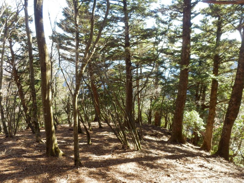 痛恨の判断ミス