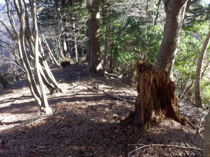 ここで引き返す