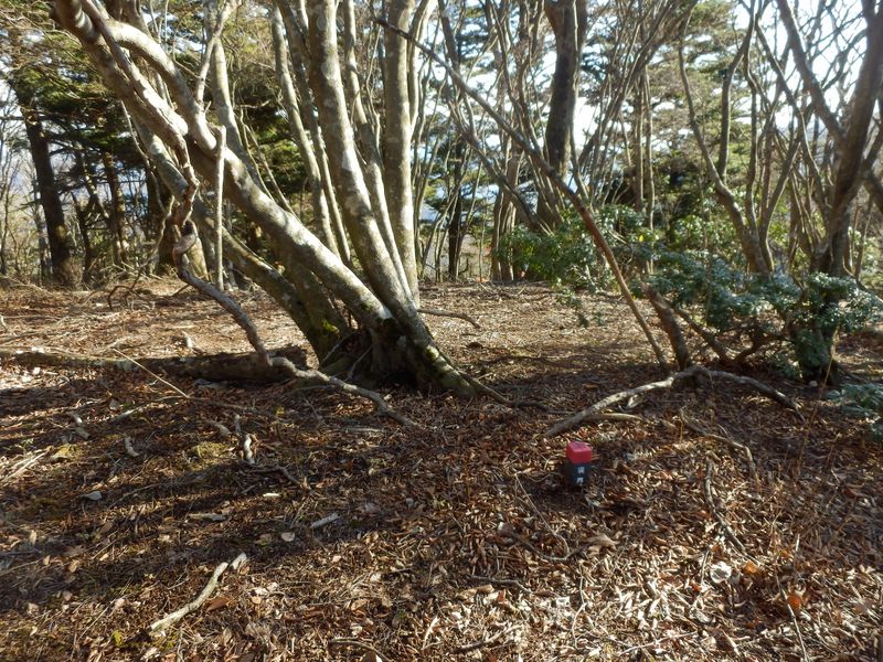 1043m峰に戻って来た