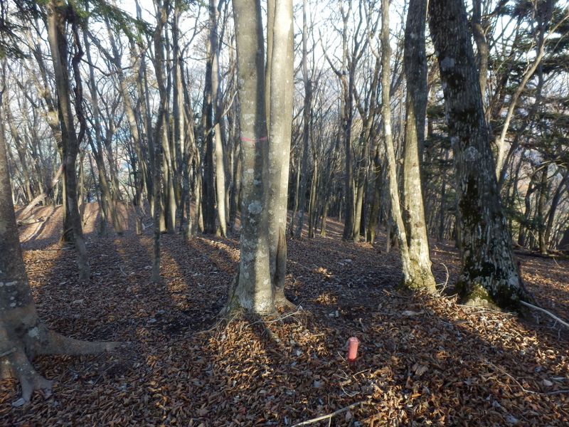 栂立尾根の屈曲点