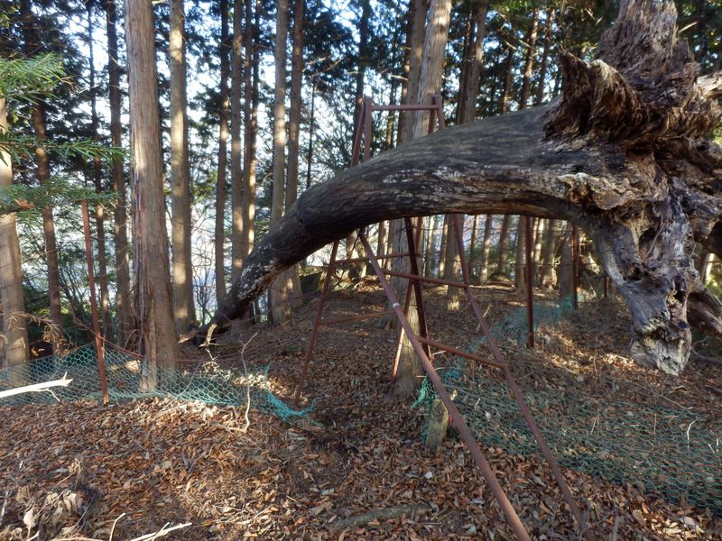 脚立の下をくぐる