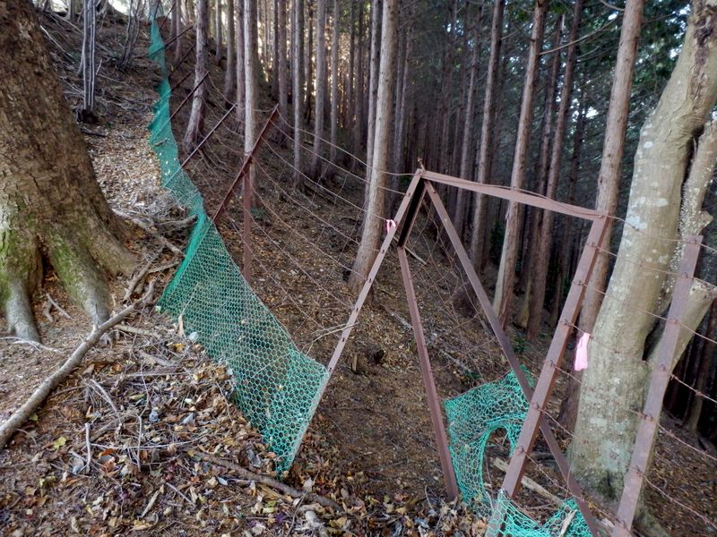 壊れた扉を通り抜け