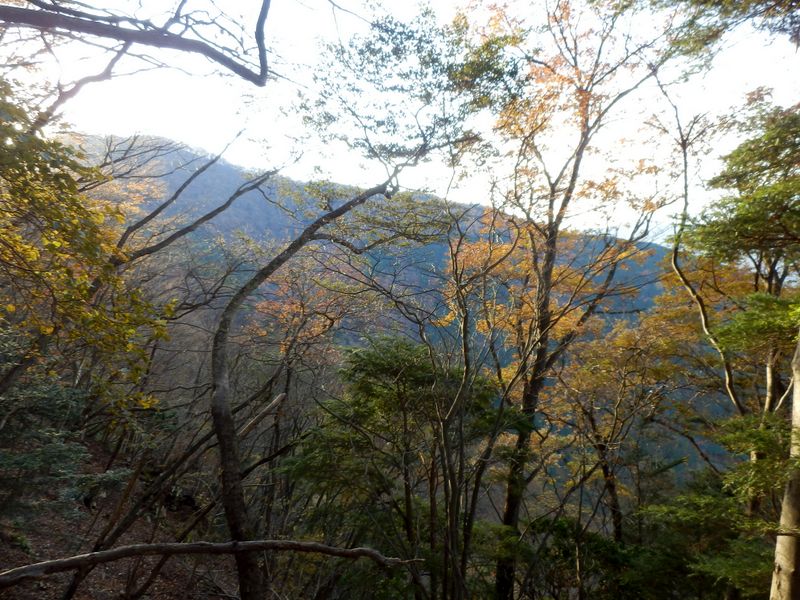 六百沢左岸尾根を振り返る