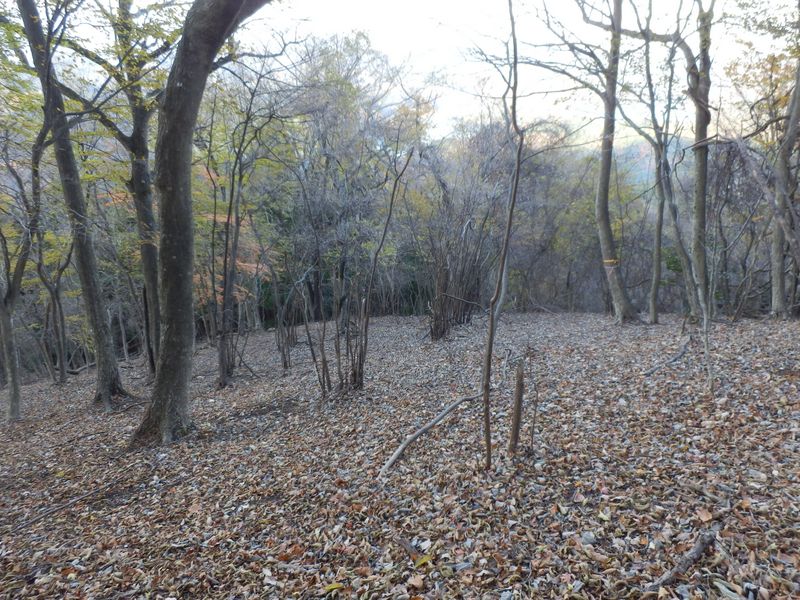 冬は美しい雪原だった