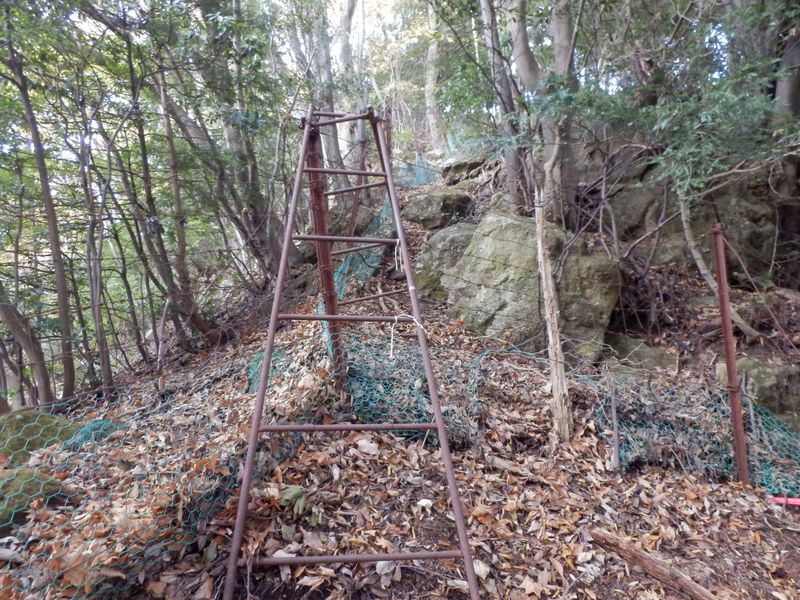 この脚立は怖々乗り越えた