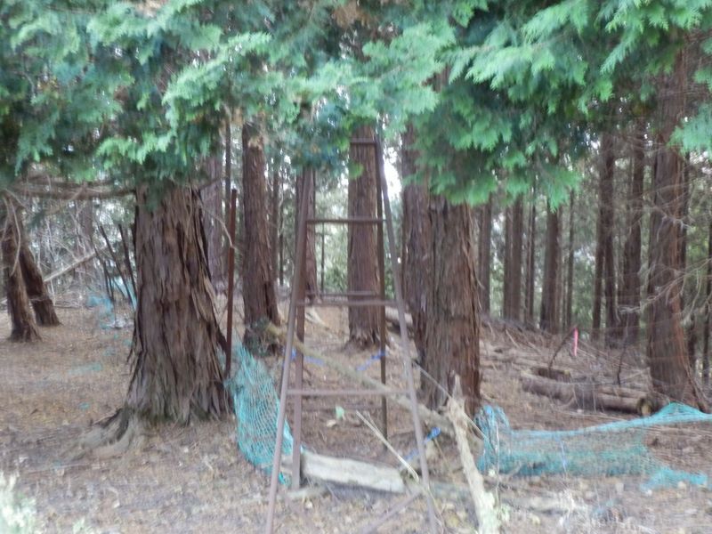 鉄塔32号直下の脚立を越える