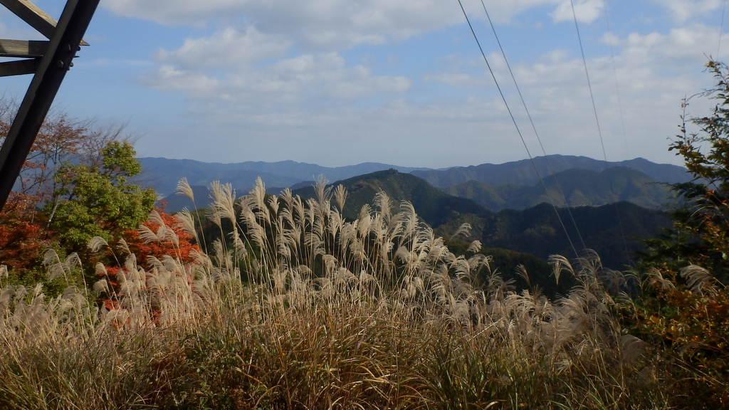 送電鉄塔356号の下