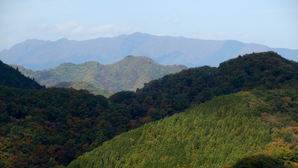 権現山稜、高柄山、金剛山