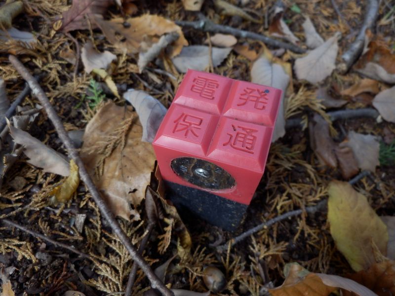 「電発保通」？