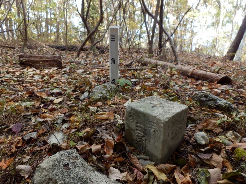 入道丸の三等三角点